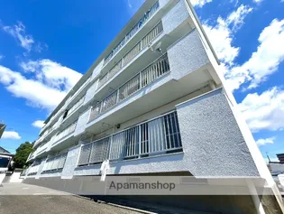 ナーシェルの画像