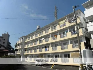 ブラッサム【4階】の外観