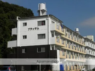 ブラッサム【4階】の外観