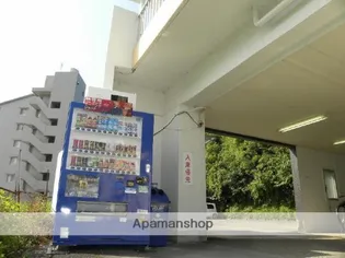 ブラッサム【4階】の外観