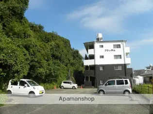 ブラッサム【4階】の外観