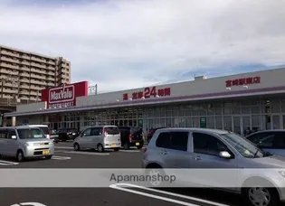 ブラッサム【4階】の周辺