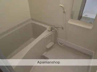 ルミエール吉村B棟【405号室】の風呂