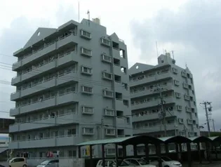 柳丸コーポ南棟【303号室】の外観