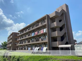 ティナ大塚の画像