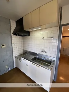 PINE VIEW【401号室】のキッチン