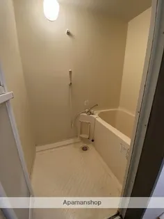 PINE VIEW【401号室】の風呂