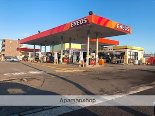 PINE VIEW【401号室】の周辺