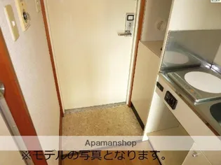 ルミナス荘苑【1102号室】の玄関