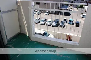 ルミナス荘苑【1102号室】のその他画像