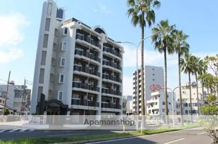 シーラカンスKANDYの画像