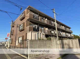 サザンコンフォートの画像