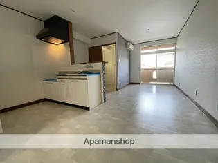 第1ピノキオコーポ【東102号室】の居間