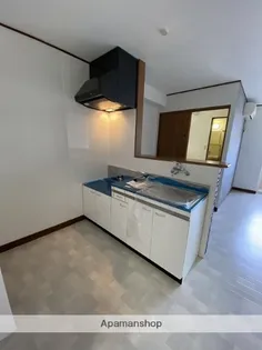 第1ピノキオコーポ【東102号室】のキッチン