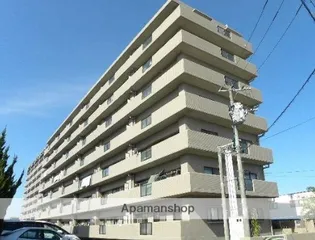 パストラル柳丸1の画像