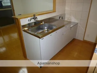 ユーミー佐土原【402号室】のキッチン