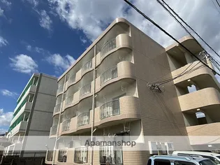 パームスウィートの画像