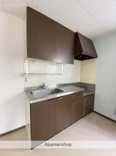 オーシャンヒル【A201号室】のキッチン