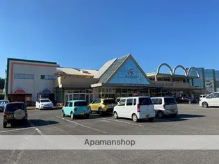 オーシャンヒル【B102号室】の周辺