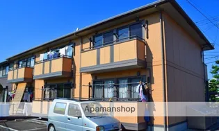 スターリー スカイの画像