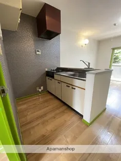 エレガンス木花Ⅱ【A203号室】のキッチン