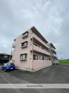 マリオンの画像