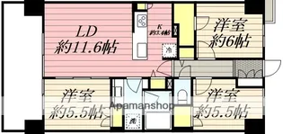 レーベン宮崎 ONE TOWER【203号室】の間取り