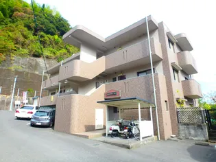 NAKAMA B L Dの画像