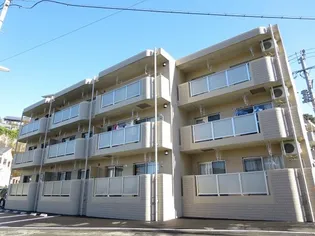 フォレスト SACHIの画像