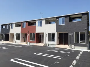 エニシムの画像