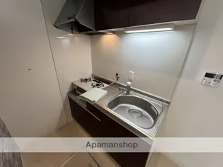 キャッスルM【1階】のキッチン