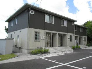 レグルスの画像