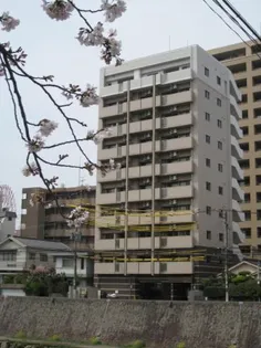 リバーテラス中央の画像