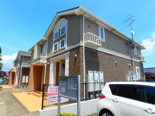 グレイスフルBの画像