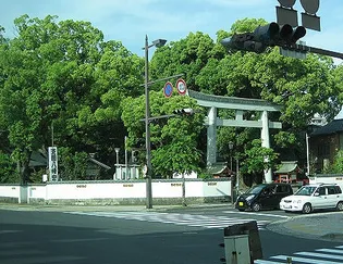 シャルムY【101号室】の周辺