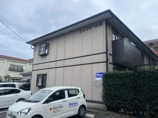 コンフォールMの画像