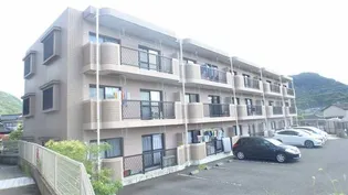 ピュア ポラリスの画像