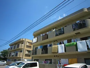 ツインポートの画像