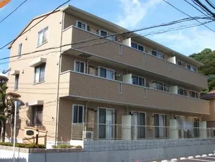 ヴァン マーガレットの画像