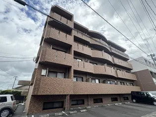 ホワイトマルセイユの画像