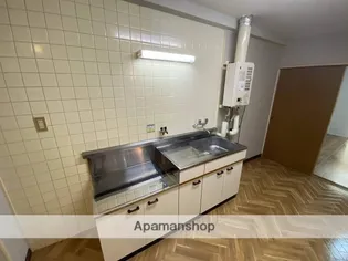 ゼブラビル【2階】のキッチン