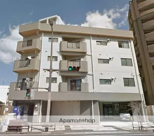 ゼブラビルの画像