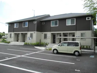 レグルスの画像