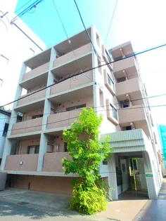 PARK SIDE 葉月館【0203号室】の外観