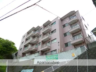 城山スカイハイツ【4階】の外観