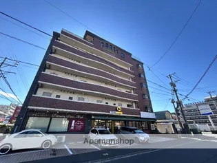 パレス姫の画像