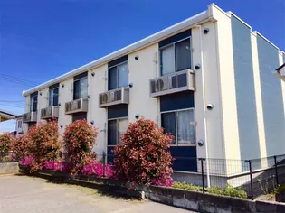 レオネクストえいじゅの画像