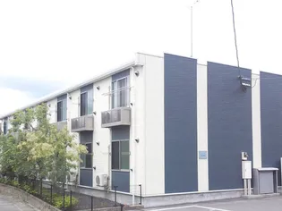 レオネクストBLUE ROSE【204号室】の外観