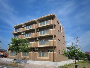 ファーストステージの画像