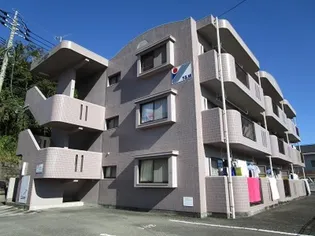 メゾン田中の画像